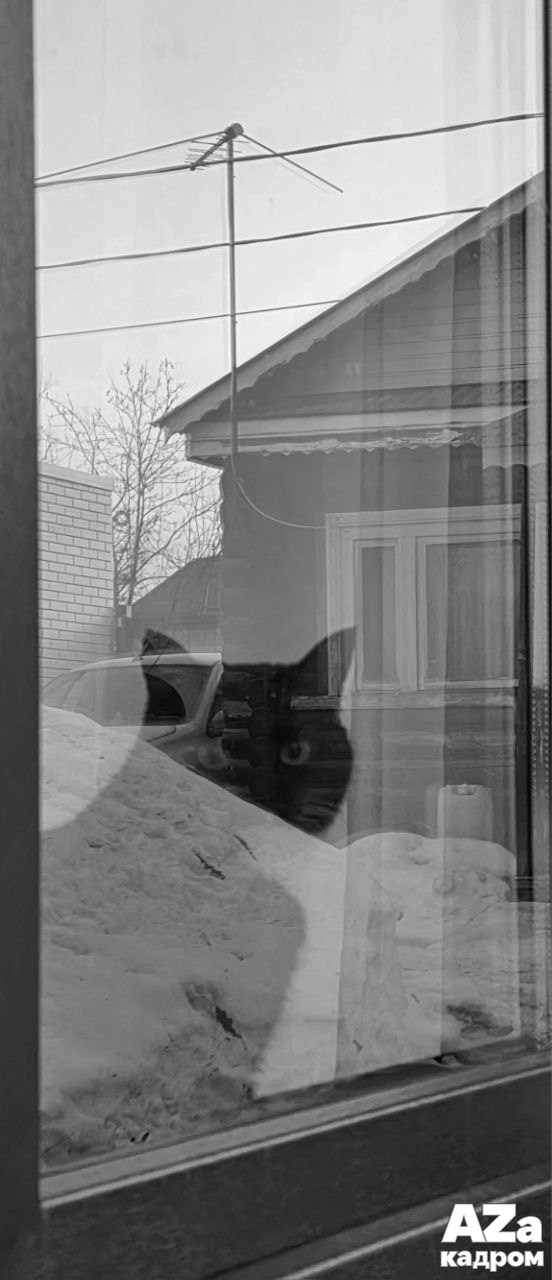 AZакадром «Отражения». Женский семейный фотограф Тула Москва Захарова Анна