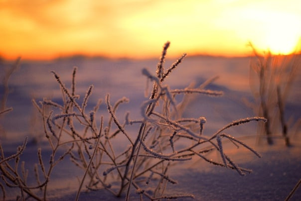 Для души. Сейчас вылетит ПТИЧКА! Фотосессии в Керчи