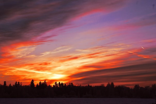 Для души. Сейчас вылетит ПТИЧКА! Фотосессии в Керчи