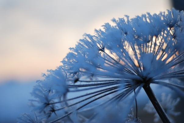 Для души. Сейчас вылетит ПТИЧКА! Фотосессии в Керчи