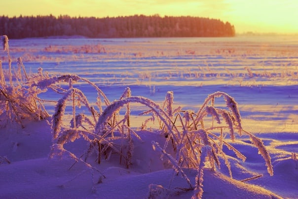 Для души. Сейчас вылетит ПТИЧКА! Фотосессии в Керчи