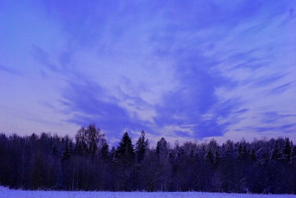 Для души. Сейчас вылетит ПТИЧКА! Фотосессии в Керчи