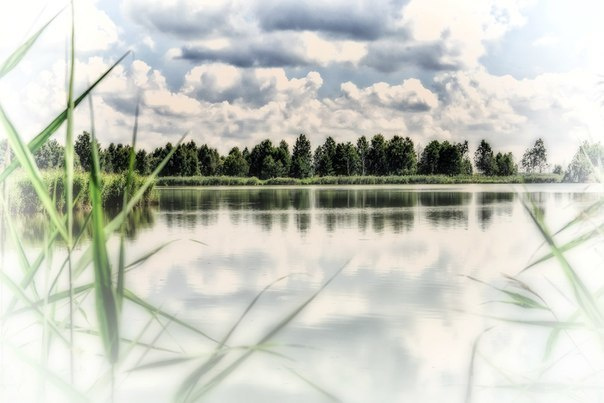 Пейзажи. Свадебный фотограф Олег Шатохин  Москва и Московской область