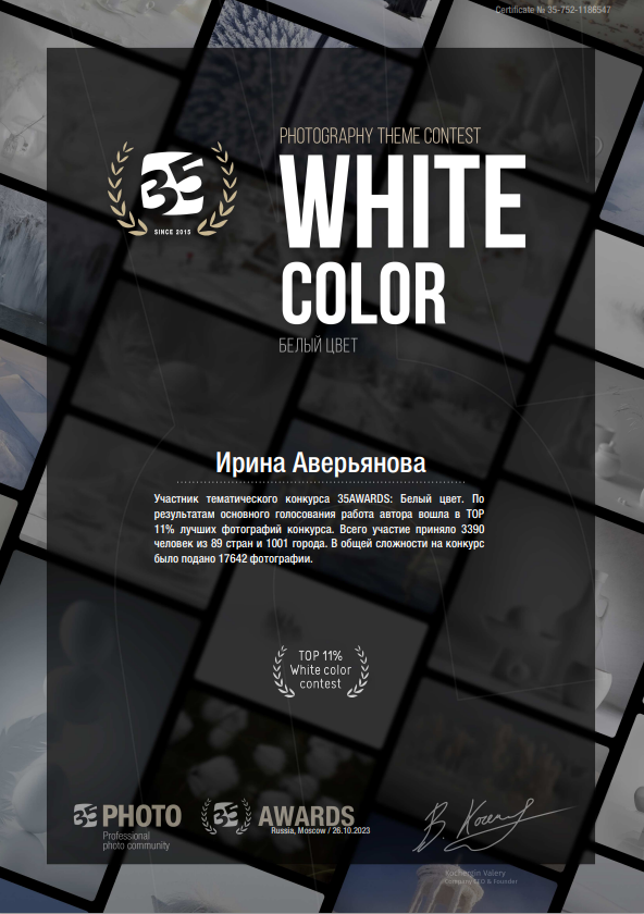 Дипломы и награды. Фотограф в Ульяновске Ирина Аверьянова