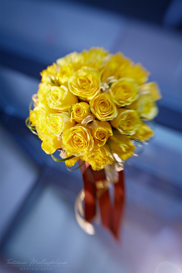 Фотограф на свадьбу в Самаре. Фотограф Татьяна Малушкина