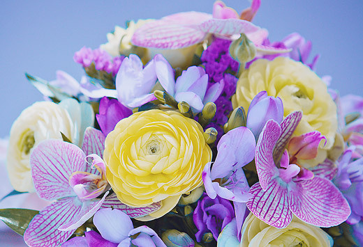 Фотограф на свадьбу в Самаре. Фотограф Татьяна Малушкина