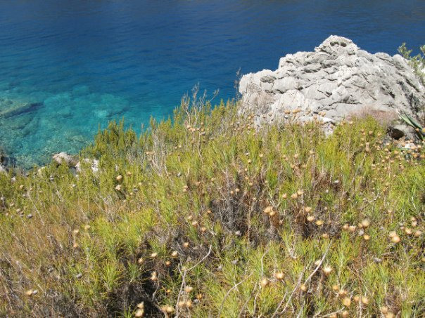 ПУТЕШЕСТВИЯ. Фотограф мероприятий Ирина Каширина