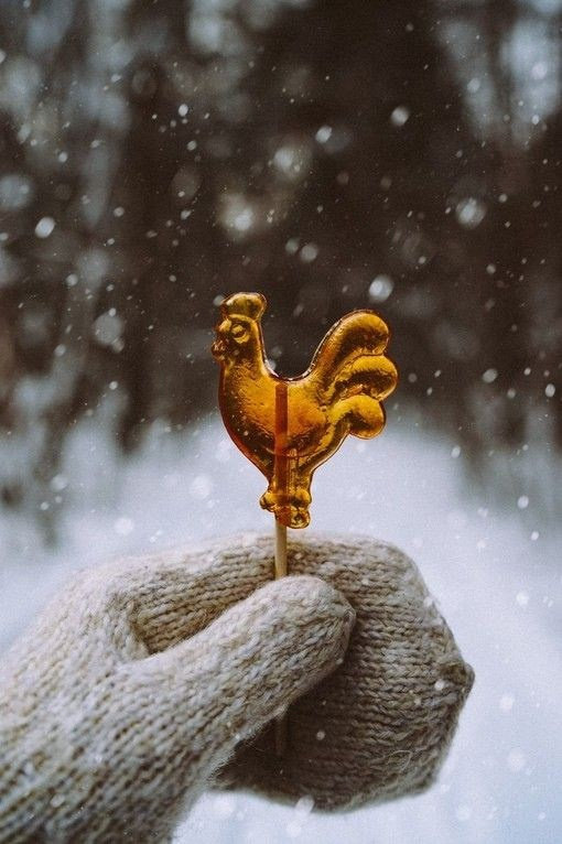 Зимняя с варежками. Александра Мельниченко/ Бегающий фотограф