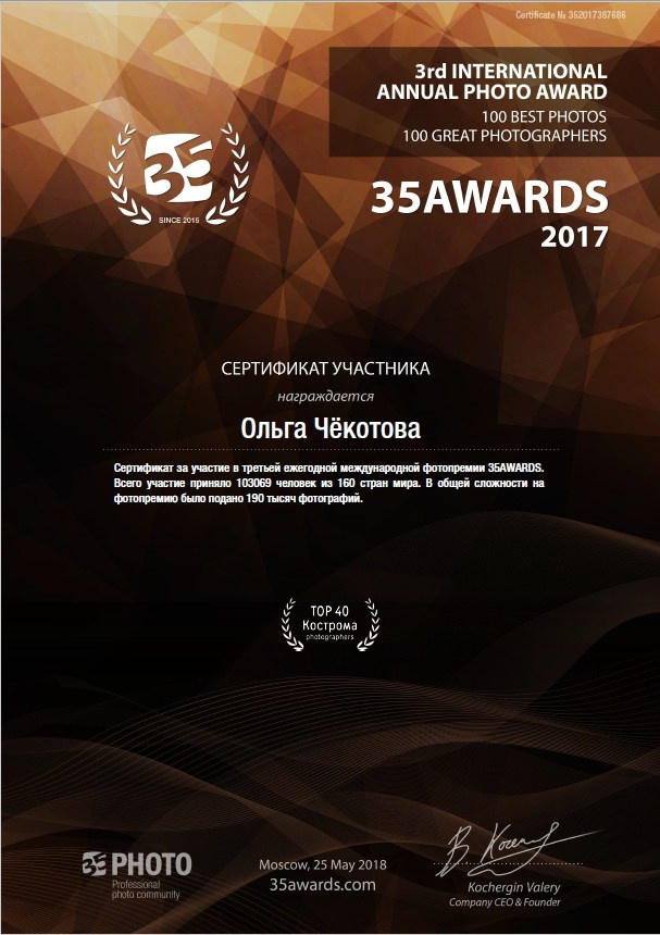 Конкурсы и грамоты. Ольга Чёкотова (Фотограф Кострома)