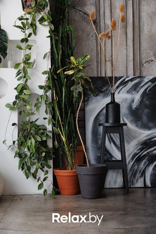 Интерьеры. Репортажный фотограф Александр Задорин, Минск, Беларусь