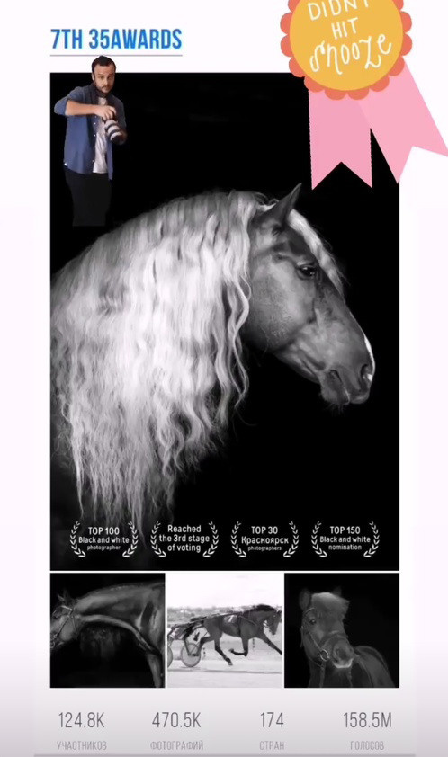 Главная. Конный фотограф в Красноярске — Любовь Похабова