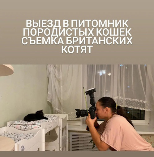 Главная. Конный фотограф в Красноярске — Любовь Похабова