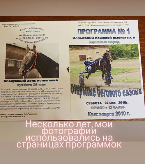 Главная. Конный фотограф в Красноярске — Любовь Похабова