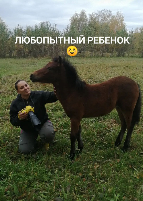 Главная. Конный фотограф в Красноярске — Любовь Похабова