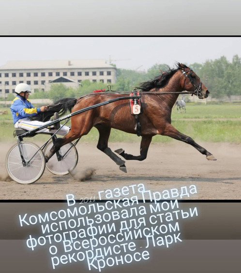 Главная. Конный фотограф в Красноярске — Любовь Похабова