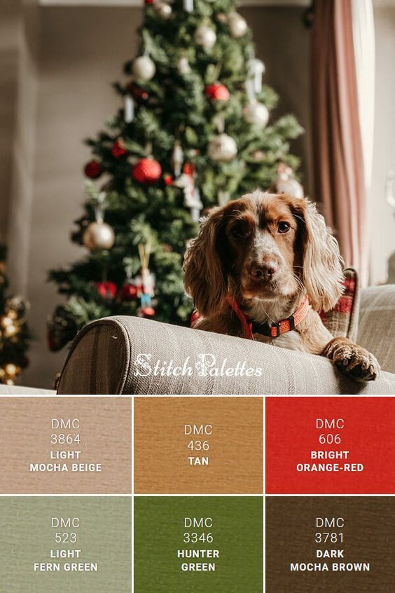 Что надеть на фотосессию в зал Light-100?. Семейный и Свадебный фотограф. Санкт-Петербург. Пушкин