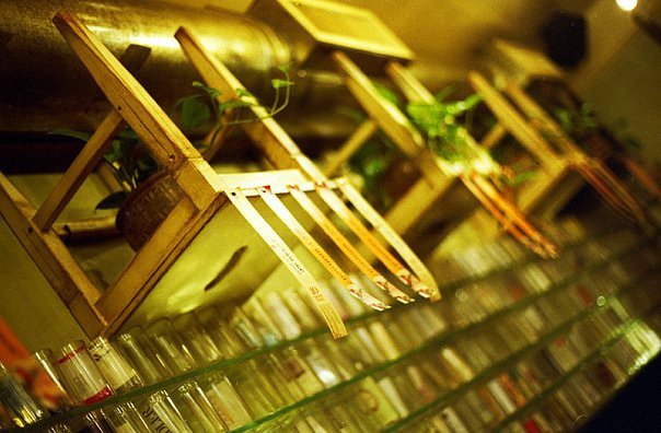 Odessa, 2009 (film camera). Marina Kanygina (Fedoseeva) photography