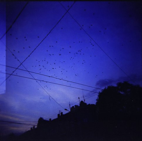 Odessa, 2009 (film camera). Marina Kanygina (Fedoseeva) photography