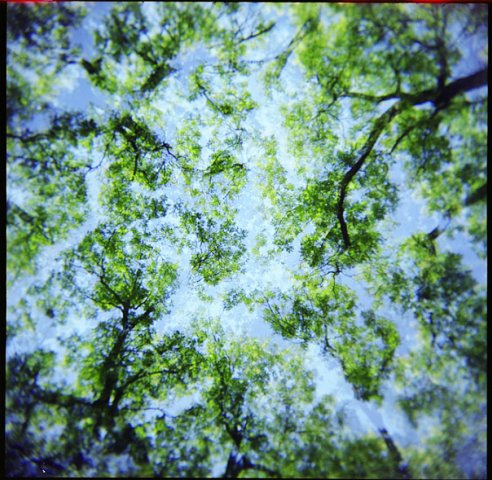 Odessa, 2009 (film camera). Marina Kanygina (Fedoseeva) photography