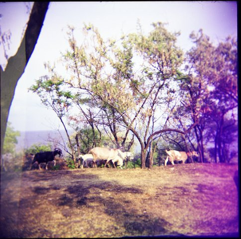 Odessa, 2009 (film camera). Marina Kanygina (Fedoseeva) photography