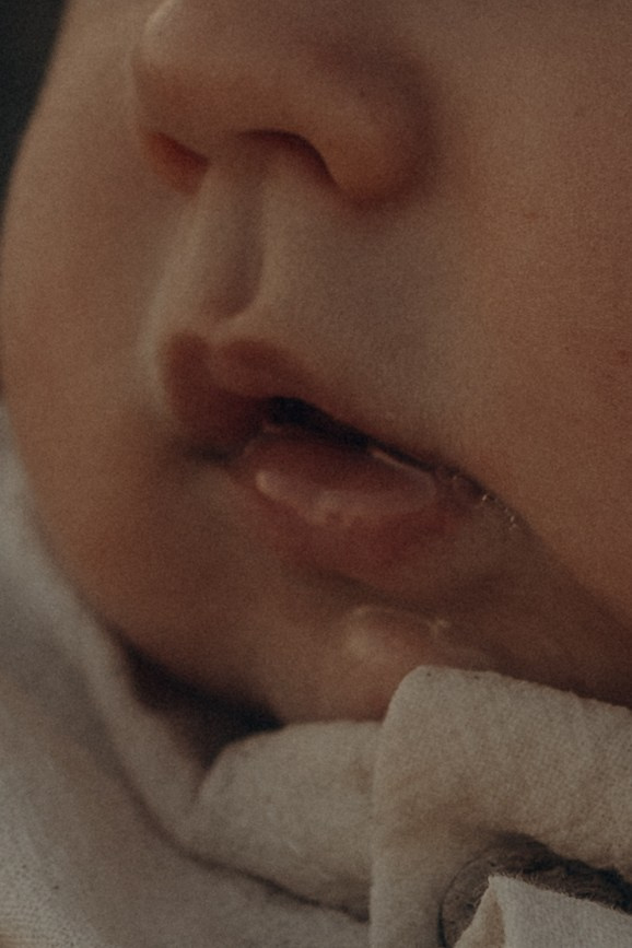 Маша Артем Эми и Степа. Семейный фотограф в Новороссийске и Анапе Александра Яковлева