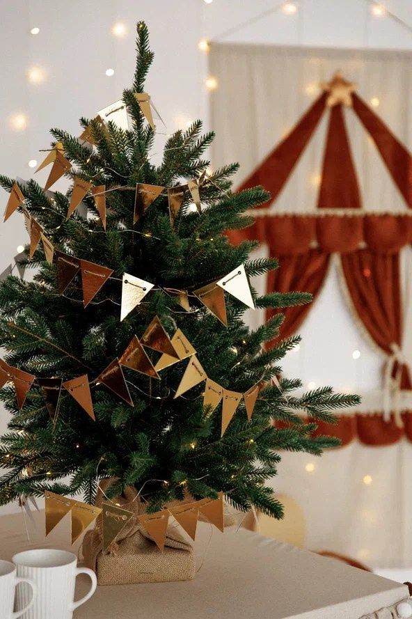 Фотостудия ISO Зал V90 Волжская 28 Саратов