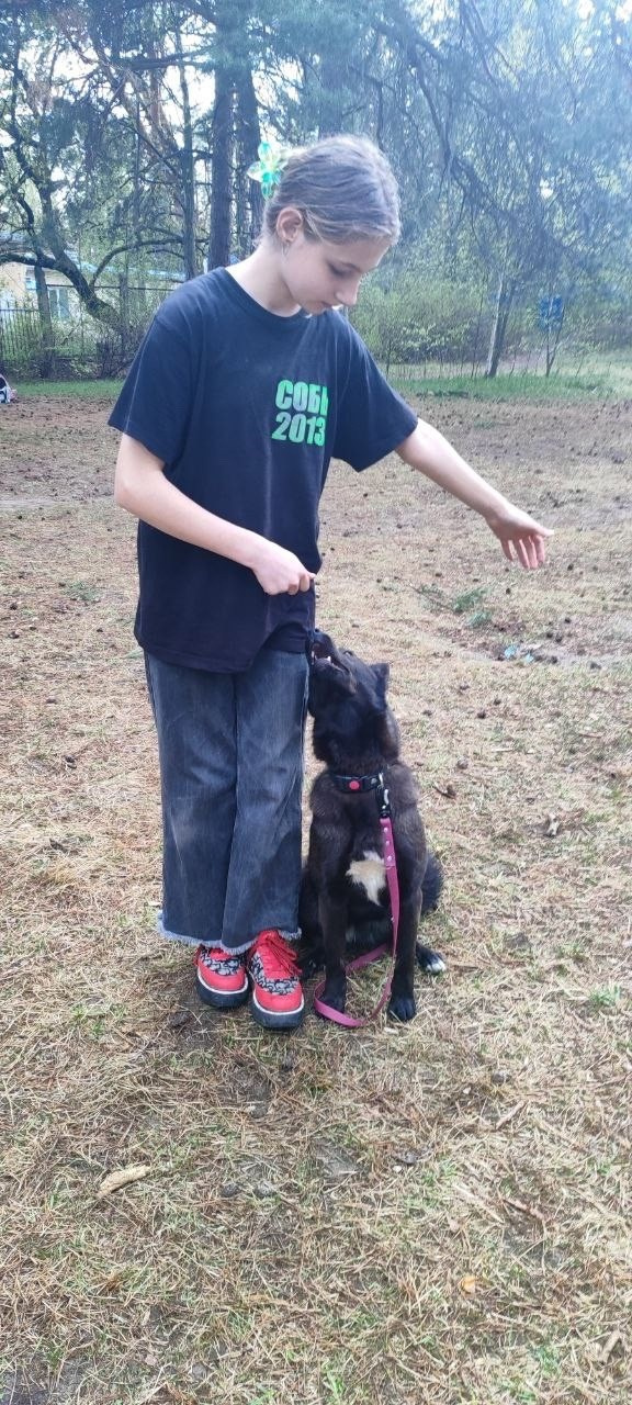 Практические занятия по дрессировке. НРОО КЦ "Собаковод"