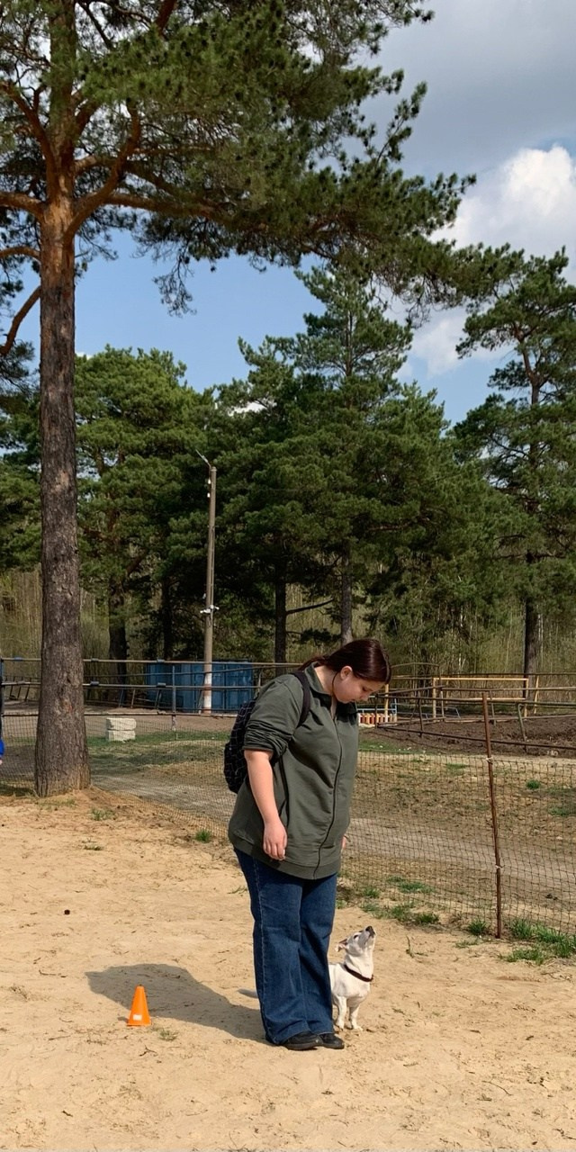 Практические занятия по дрессировке. НРОО КЦ "Собаковод"