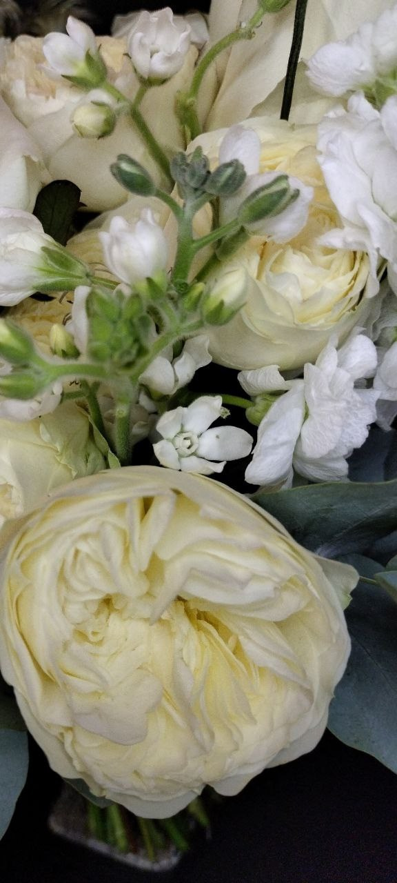  Букет невесты на заказ, букет для невесты Москва, свадебный флорист, флорист на свадьбу, сборка букета на свадьбу, ручная работа, букет для невесты ручной работы, букет невесты ручной работы . бутоньерка жениха в подарок, авторский букет для невест, современный букет невесты. Ваши фото. Бело-зелёный букет для невесты. Собран по референсу, что доработан мною (с внесением изменений, для интеграции к образу невесты). авторский букет невесты, современный букет невесты, невеста 2025,  букет невесты, свадебный букет, свадьба 2025, свадебный букет, свадебный букет невесты, флорист на свадьбу, флорист фрилансер, флорист москва, ручная работа, яркий букет невесты, современный букет невесты, весенний букет невесты, антуриум, амарант, французские тюльпаны, аллиум, гиацинт, флорист на свадьбу, хороший флорист, флорист фрилансер, букет по фото, флорист профессионал