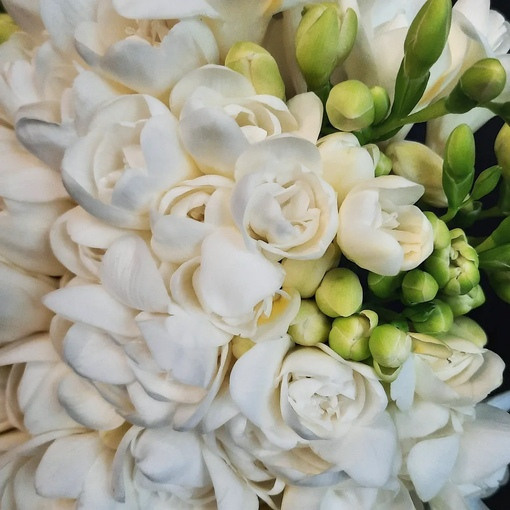 фрезия, ароматный цветок, душистый цветок, букет невесты, свадьба 2023, свадебный букет, свадебный букет невесты