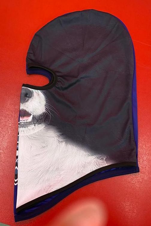 Бейсболка, шапка, команда, символ, эмблема, фанат, клуб, команда, спорт, вышивка, любимая, подарок, хоккей, футбол, баскетбол, балоклава