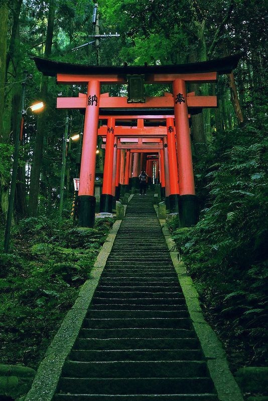 🇯🇵 ЯПОНИЯ. ПЕРВАЯ ЛЮБОВЬ — ноябрь 2027 года. СЕЙ: ЧАС — Авторские туры по миру с Алиной Крюковой