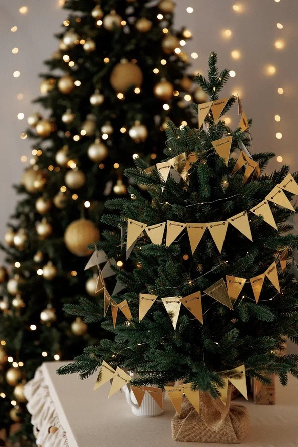 Фотостудия ISO Зал V90 Волжская 28 Саратов