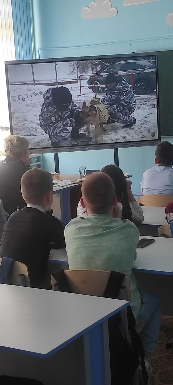 Лекция по теме «Фронтовая собака» для учащихся 5 и 6 классов школы № 29. НРОО КЦ "Собаковод"