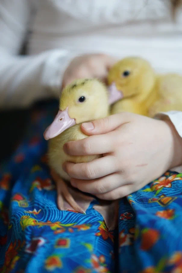 Фотосессия Лизы. Студийный и портретный фотограф в САНКТ-ПЕТЕРБУРГЕИрина Махаон