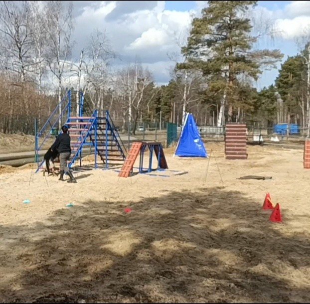 Практические занятия по дрессировке. НРОО КЦ "Собаковод"