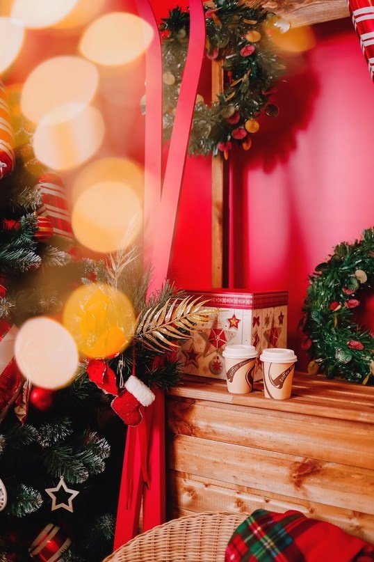 Новогодние Студии Тамбова. Фотограф г. Тамбов г. Воронеж Богдан Тарасов