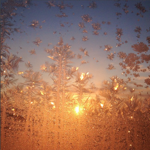 Фотографии. Детский и семейный фотограф Зоя Павкина