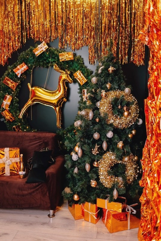 Новогодние Студии Тамбова. Фотограф г. Тамбов г. Воронеж Богдан Тарасов