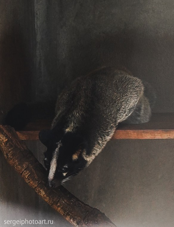 Далат. Фотограф Сергей Кишкель Дананг Нячанг Фукуок