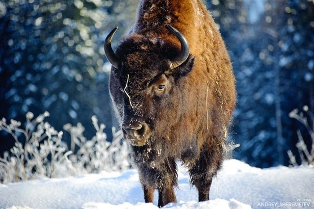 Экспедиции. Фотограф Андрей Шереметьев. Репортажный, спортивный фотограф