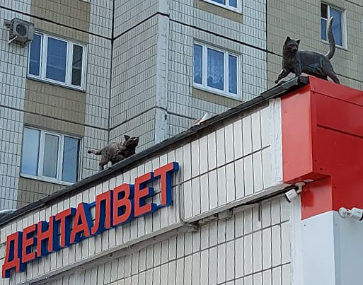 Серия "Кошки" для ветеринароной клиники. 2019.  Бронза. Москва 