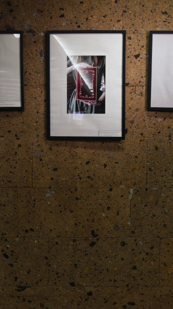 ПРОЕКТЫ. Imimodels