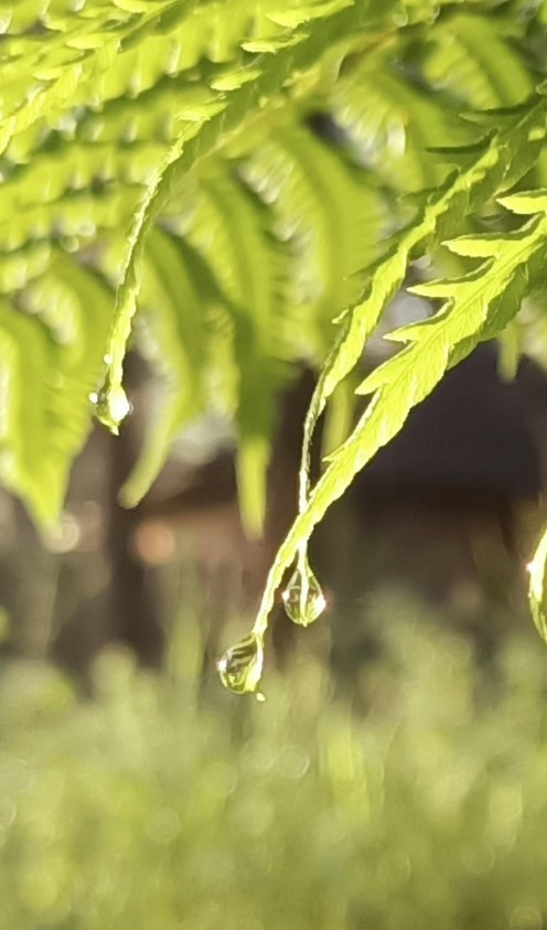 Личный фотоархив