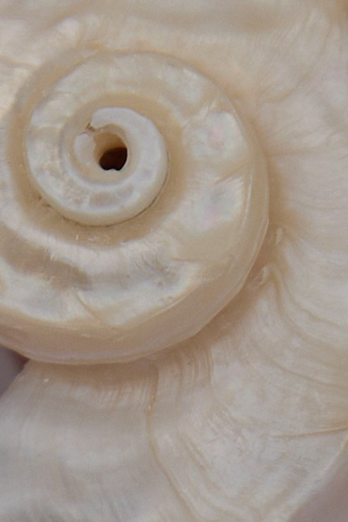 Добро пожаловать в Семью!. Обо мне