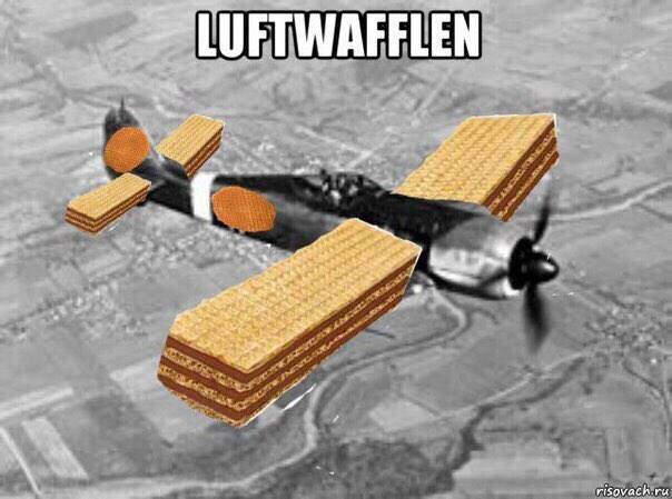 2025.08.20 Ярослав и Катя. Вова Вершинин - свадебный видеограф в Нижнем Новгороде, Москве и всей России