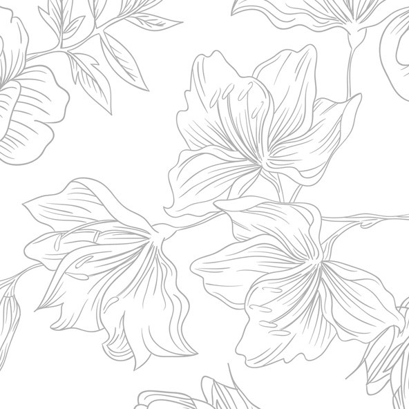 Коллекция «FlexBind Pro». Фотограф в Минске Алёна Дианина