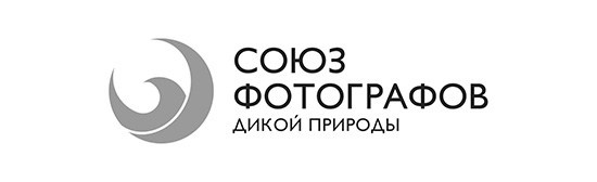 Фотограф Антон Денисенко: Портрет, Документалистика, Пейзаж. Фотограф Антон Денисенко: Портрет, Репортаж. Москва