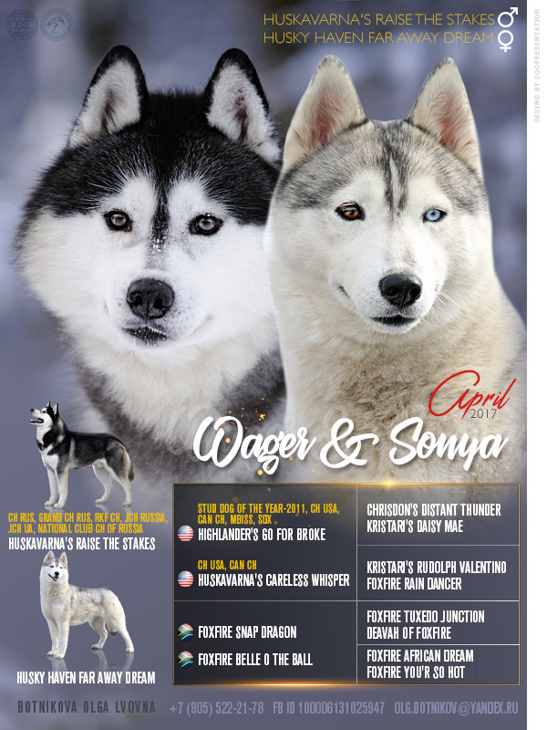 Презентация помета