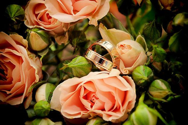 Свадебная фотосъемка. Ваш фотограф в Москве